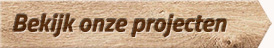 Projecten